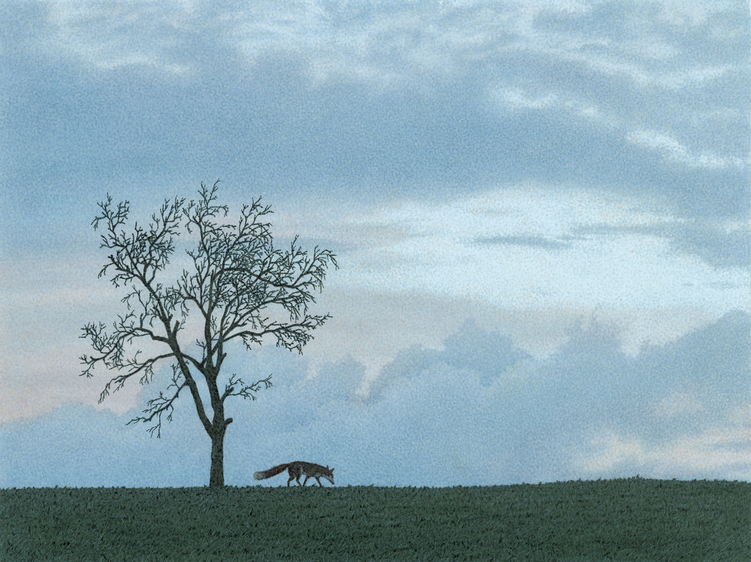 Abend mit Fuchs