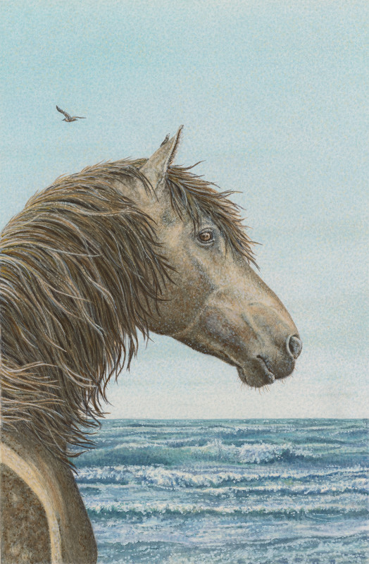 Pferd am Meer
